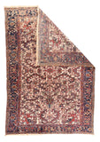 Area Rug 1797