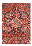 Area Rug 1798