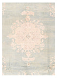 Area Rug 1827