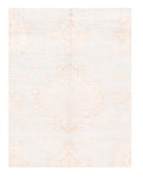 Area Rug 1829