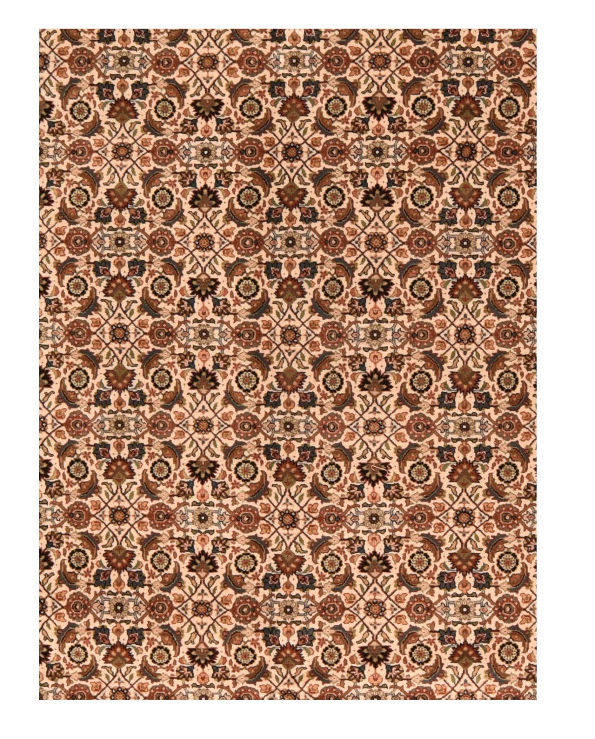 Area Rug 1846