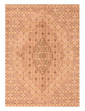 Area Rug 1858