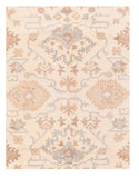 Area Rug 1861