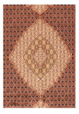 Area Rug 1863