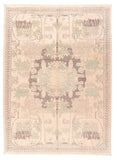 Area Rug 1867