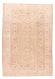 Area Rug 1869