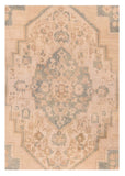 Area Rug 1871