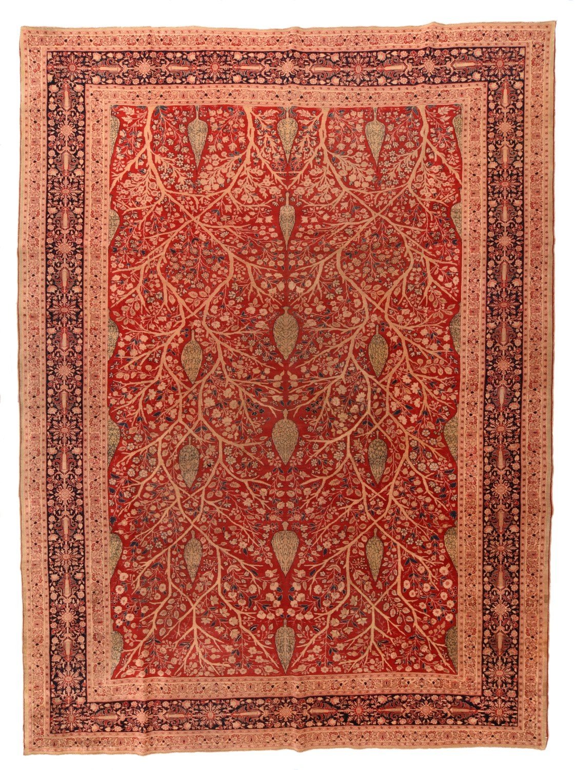 Area Rug 1877