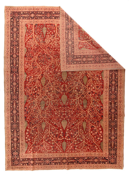 Area Rug 1877