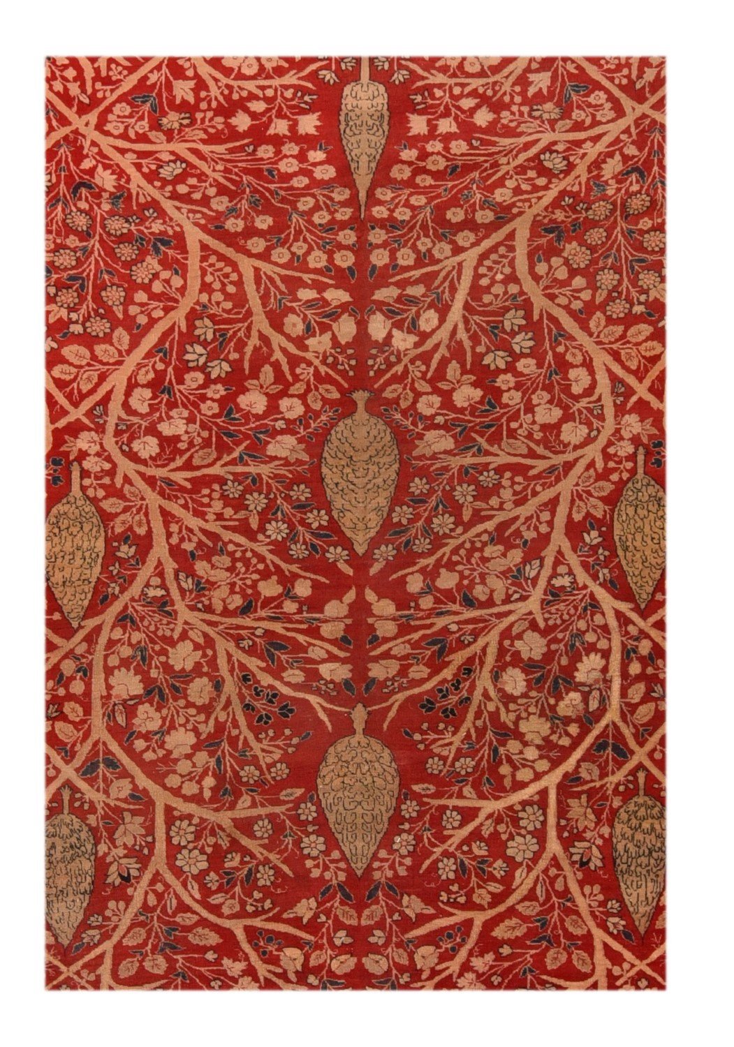 Area Rug 1877