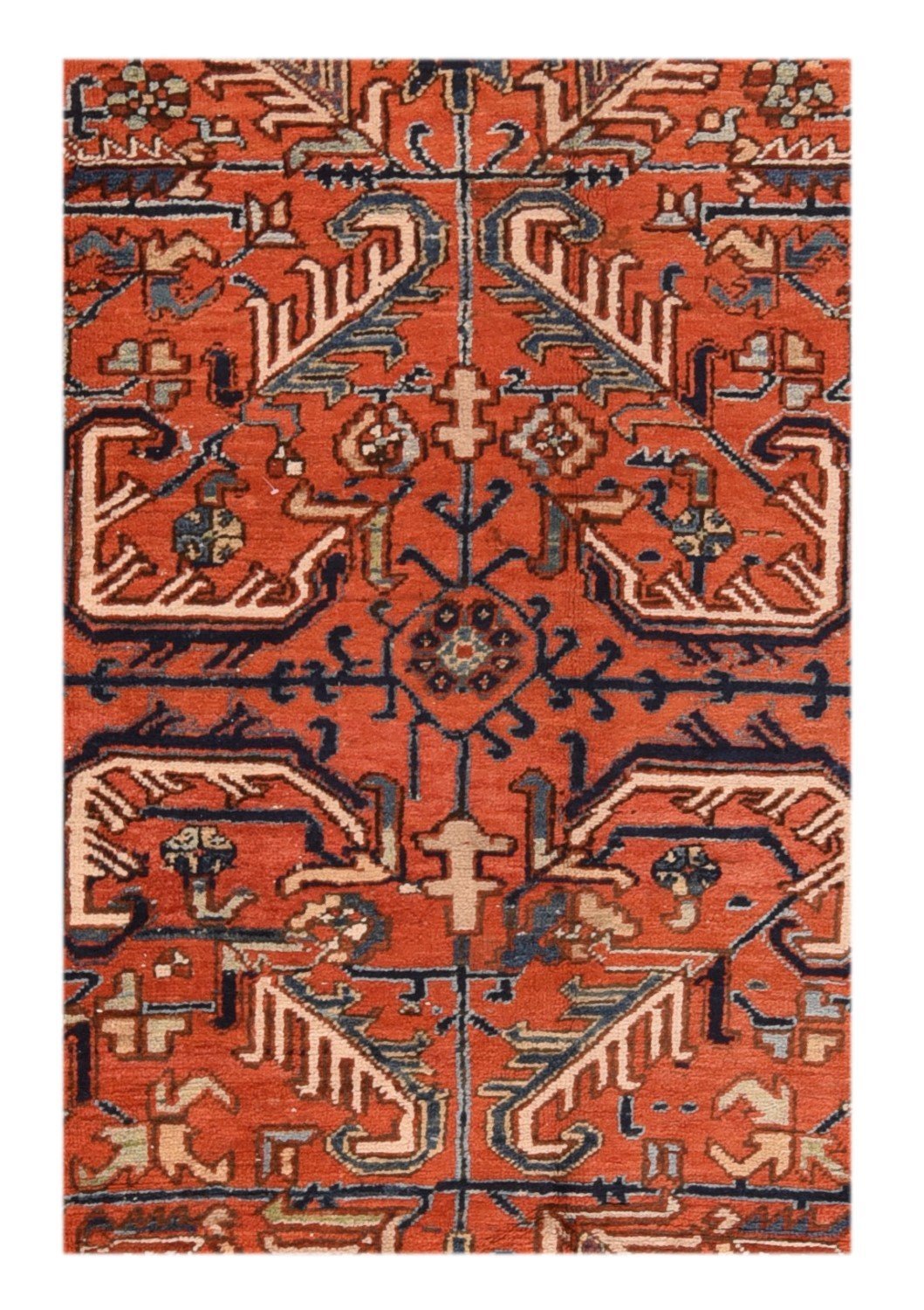 Area Rug 1892