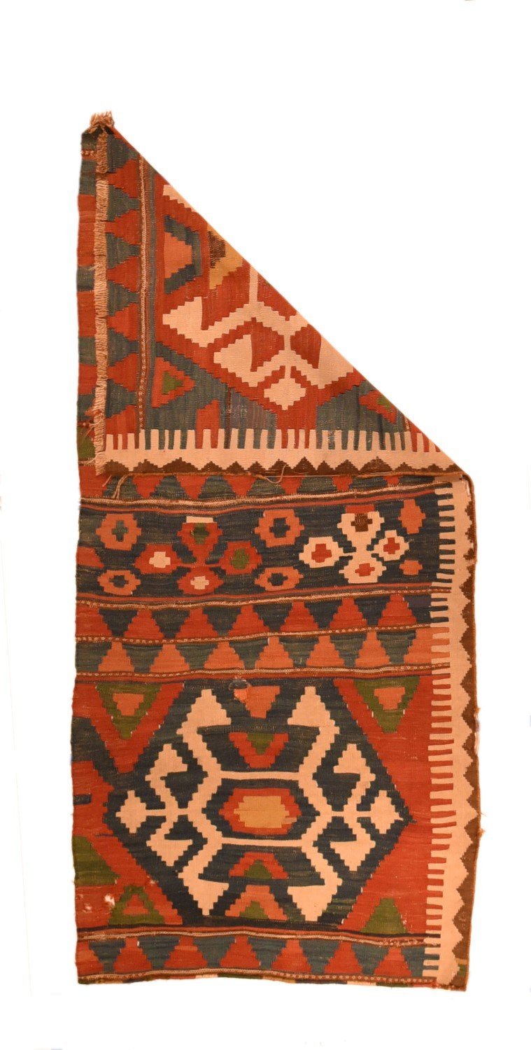 Area Rug 1955