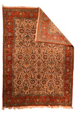 Area Rug 1996