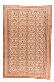 Area Rug 2046