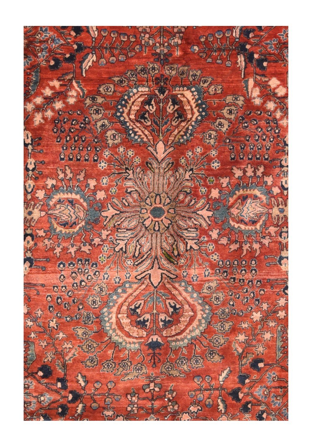 Area Rug 2051