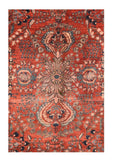 Area Rug 2051