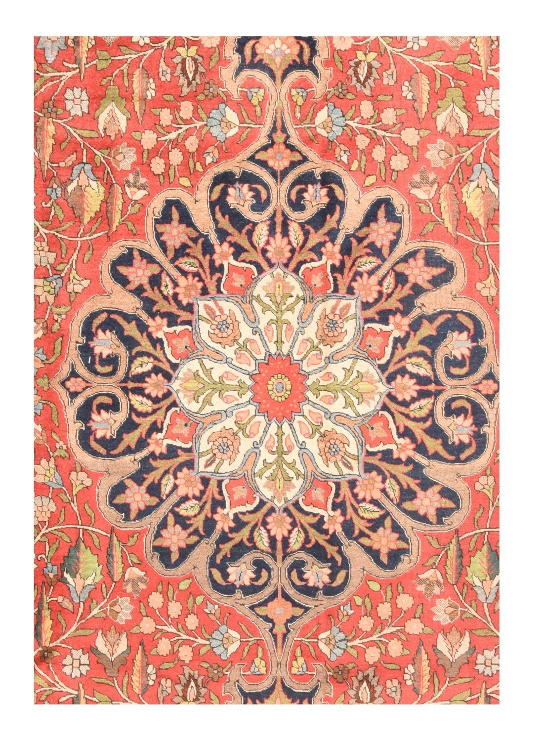 Area Rug 2054