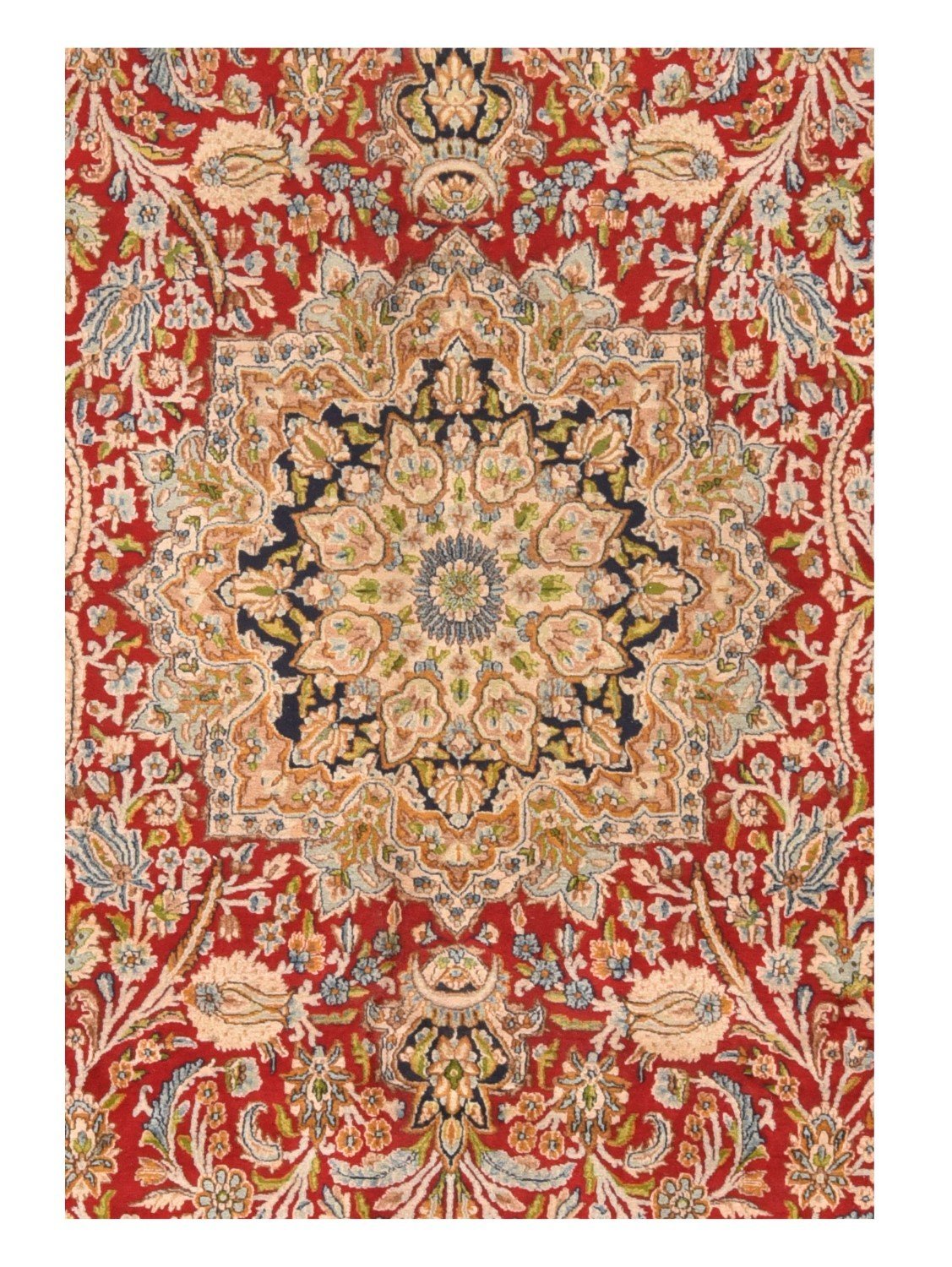 Area Rug 2061