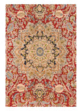 Area Rug 2061