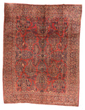 Area Rug 2066