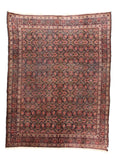 Area Rug 2072