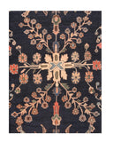 Area Rug 2073