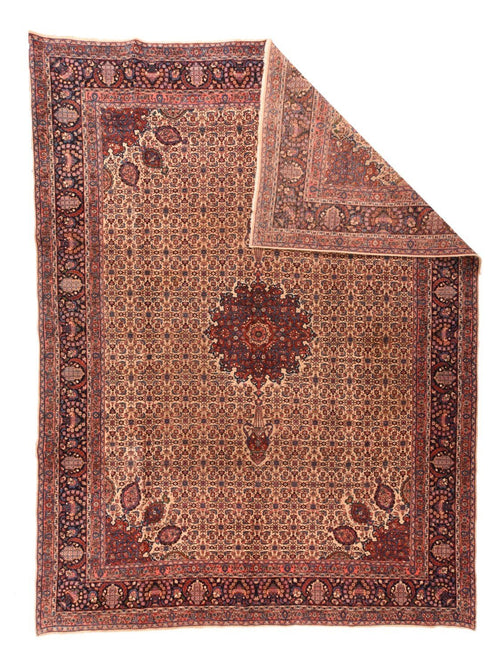 Area Rug 2091