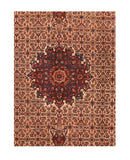 Area Rug 2091