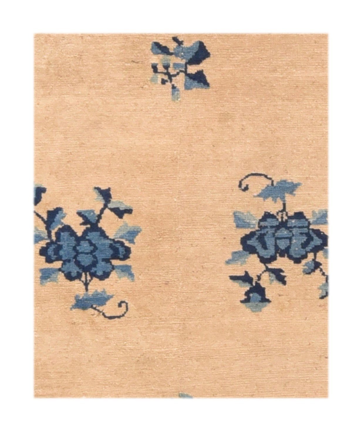 Area Rug 2098