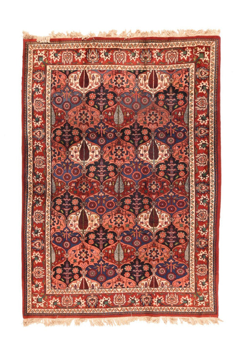 Area Rug 2110