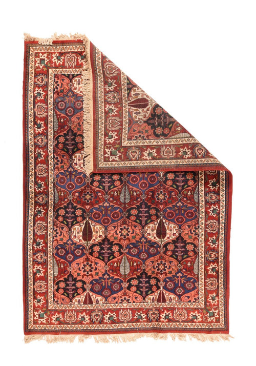 Area Rug 2110