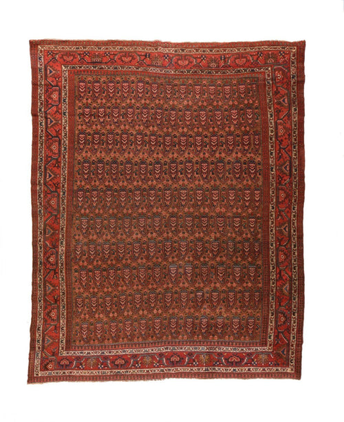 Area Rug 2114