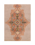 Area Rug 2117