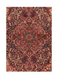 Area Rug 2128