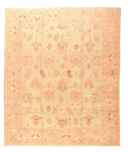 Area Rug 2137