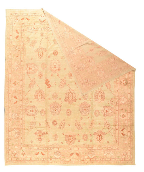 Area Rug 2137