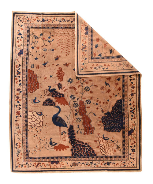 Area Rug 2146