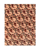 Area Rug 2158