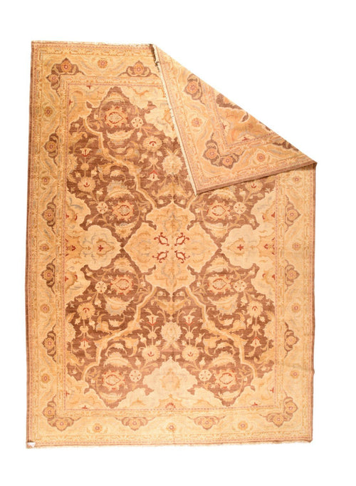 Area Rug 2159