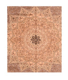 Area Rug 2160