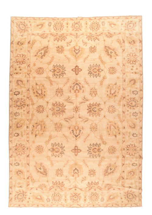 Area Rug 2161