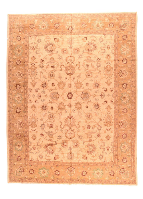 Area Rug 2162