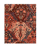 Area Rug 2168