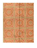 Area Rug 2170