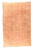 Area Rug 2183