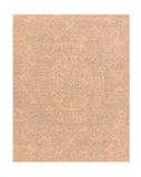 Area Rug 2194