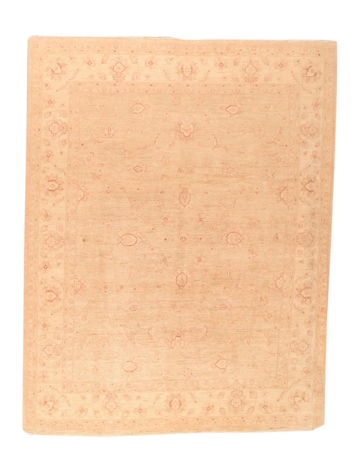 Area Rug 2200