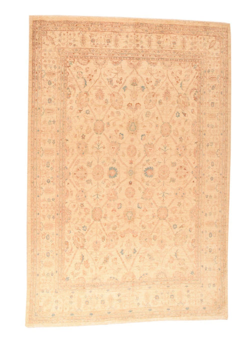 Area Rug 2207