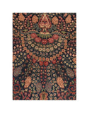 Area Rug 2213