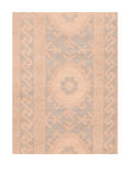 Area Rug 2233